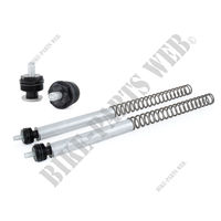 Kit Öhlins de ressorts de fourche série 100-Yamaha