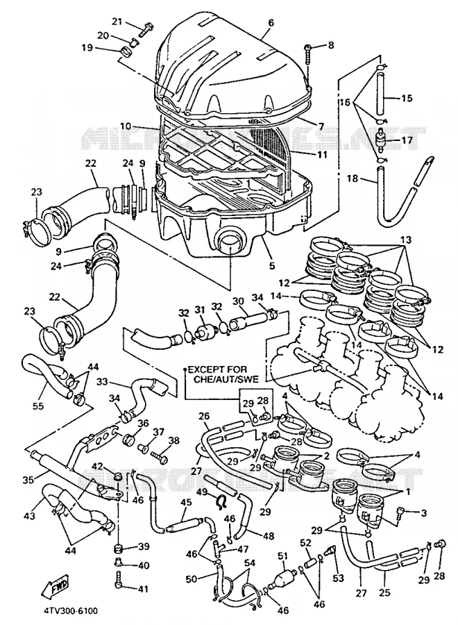 ADMISSION Yamaha MOTO 600 1996 THUNDERCAT  YZF600R