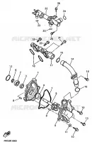 POMPE A EAU / DURITES pour Yamaha YZF 1995