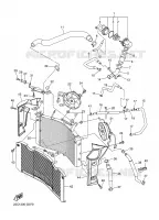 RADIATEUR / DURITES pour Yamaha FZ1 ABS 2008