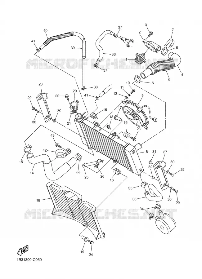 RADIATEUR / DURITES Yamaha MOTO 600 2005 FZ6  FZ6-N