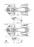EMBLEME pour Yamaha WOLVERINE 2WD 2007
