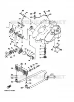 POMPE A HUILE pour Yamaha WOLVERINE 1999