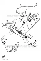 RADIATEUR / DURITES pour Yamaha FZR 1991