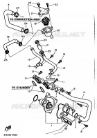 POMPE A EAU / DURITES pour Yamaha FZR 1989