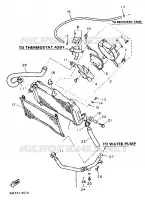 RADIATEUR / DURITES pour Yamaha FZR 1989
