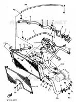 RADIATEUR / DURITES pour Yamaha FZR 1989