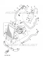 RADIATEUR / DURITES pour Yamaha MAXSTER 2001
