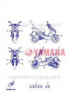 EMBLEME pour Yamaha NITRO 2008