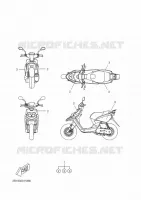 EMBLEME pour Yamaha NEXT GENERATION 2009
