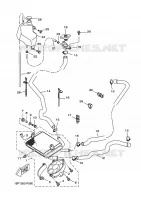 RADIATEUR / DURITES pour Yamaha XCITY 2009