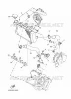 RADIATEUR / DURITES pour Yamaha CRYPTON 2011