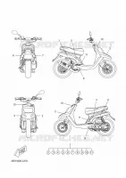 EMBLEME pour Yamaha BW'S 2012