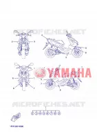 EMBLEME pour Yamaha AEROX 2013