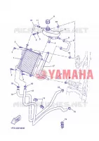 RADIATEUR / DURITES pour Yamaha AEROX 2013