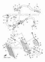RADIATEUR / DURITES pour Yamaha XVS 2016