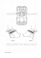 EMBLEME pour Yamaha GRIZZLY 2015