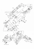ECHAPPEMENT pour Yamaha GRIZZLY 2015