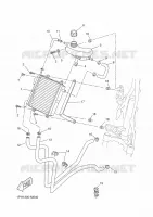 RADIATEUR / DURITES pour Yamaha NITRO 2016