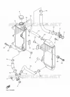 RADIATEUR / DURITES pour Yamaha YZ450F 2015