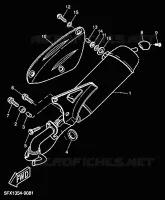 ECHAPPEMENT pour Yamaha NEXT GENERATION 2001