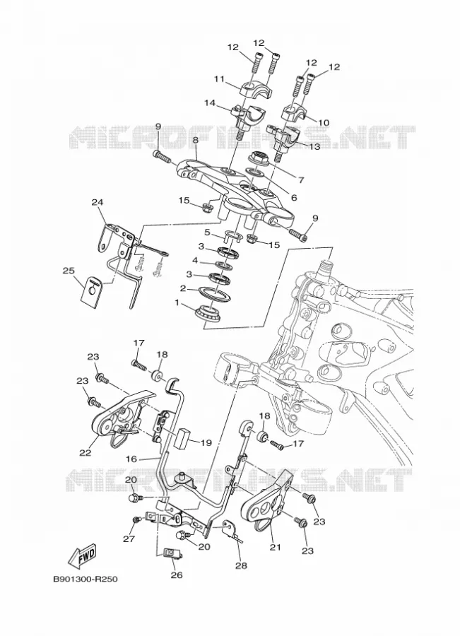 DIRECTION Yamaha MOTO 900 2016 XSR  MTM850