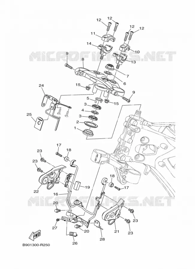 DIRECTION Yamaha MOTO 900 2016 XSR  MTM850