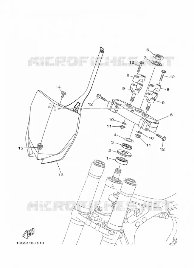 DIRECTION Yamaha MOTO 250 2018 YZ  YZ250