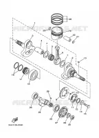 VILEBREQUIN / PISTON pour Yamaha GRIZZLY 2WD 2010