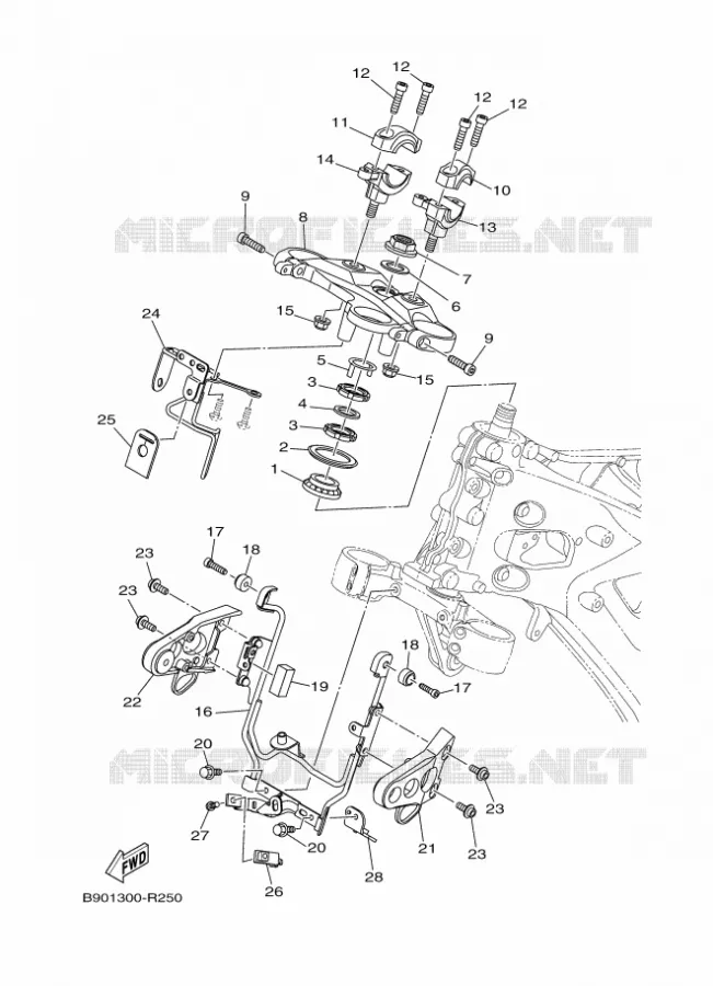 DIRECTION Yamaha MOTO 900 2018 XSR  MTM850
