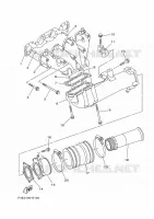 ECHAPPEMENT 1 pour Yamaha VX 2017