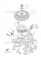 ALLUMAGE pour Yamaha F15 2014