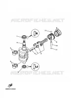 VILEBREQUIN / PISTON pour Yamaha FT9.9 2001