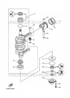 VILEBREQUIN / PISTON pour Yamaha 30 1999