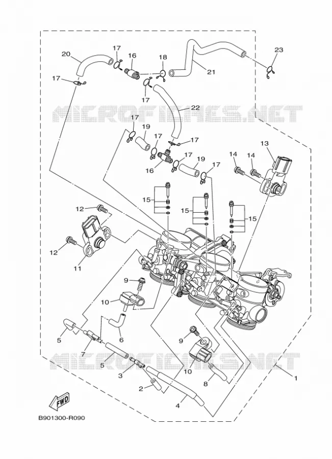 ADMISSION Yamaha MOTO 900 2019 XSR  MTM850