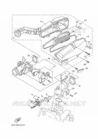 ADMISSION pour Yamaha XENTER 2019