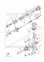 VILEBREQUIN / PISTON pour Yamaha VX 2021