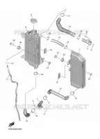 RADIATEUR / DURITES pour Yamaha YZF 2022