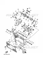 RADIATEUR / DURITES pour Yamaha TDM 2010