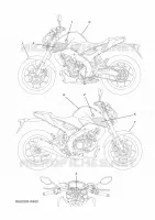 EMBLEME pour Yamaha MT 2023