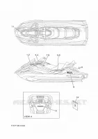 EMBLEME pour Yamaha FX 2022