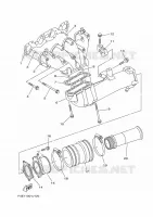 ECHAPPEMENT 1 pour Yamaha VX 2022