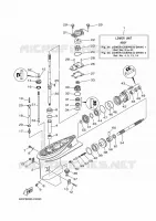 BOITIER D'HELICE ET TRANSMISSION 1 pour Yamaha F50 2020