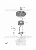 ALLUMAGE pour Yamaha F25 2020