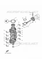 VILEBREQUIN / PISTON pour Yamaha F100 2020