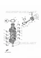 VILEBREQUIN / PISTON pour Yamaha F80 2020