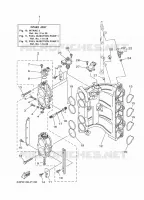 ADMISSION 3 pour Yamaha F150 2021