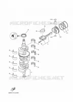 VILEBREQUIN / PISTON pour Yamaha F150 2021