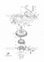 ALLUMAGE pour Yamaha F40 2021
