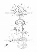 ALLUMAGE pour Yamaha F9.9 2021